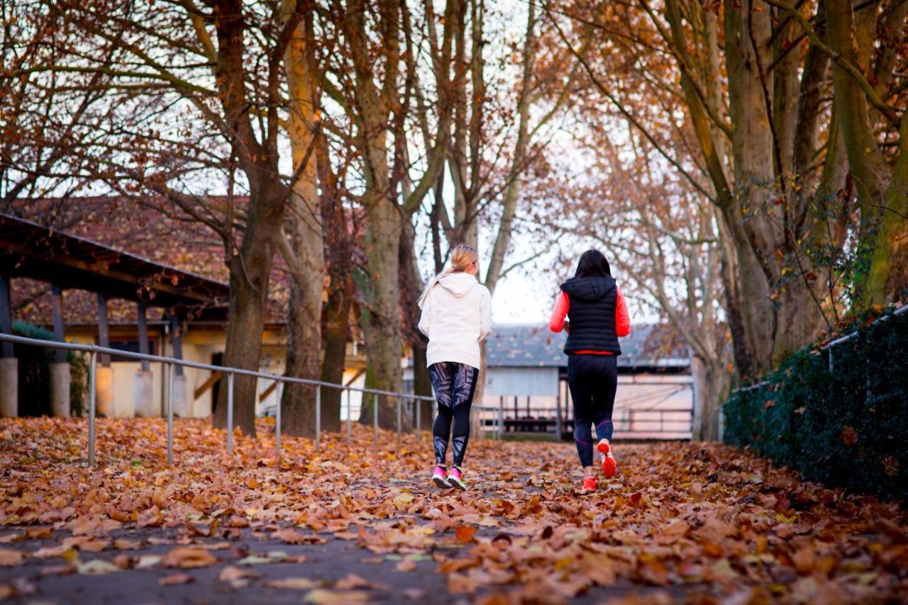 Hotel Pagony Wellness Nyíregyháza Exteriér fotografie